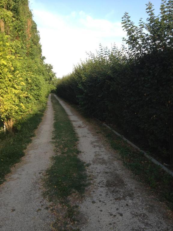 Societa Agricola Le More Agriturismo La Dondina Budrio  Ngoại thất bức ảnh